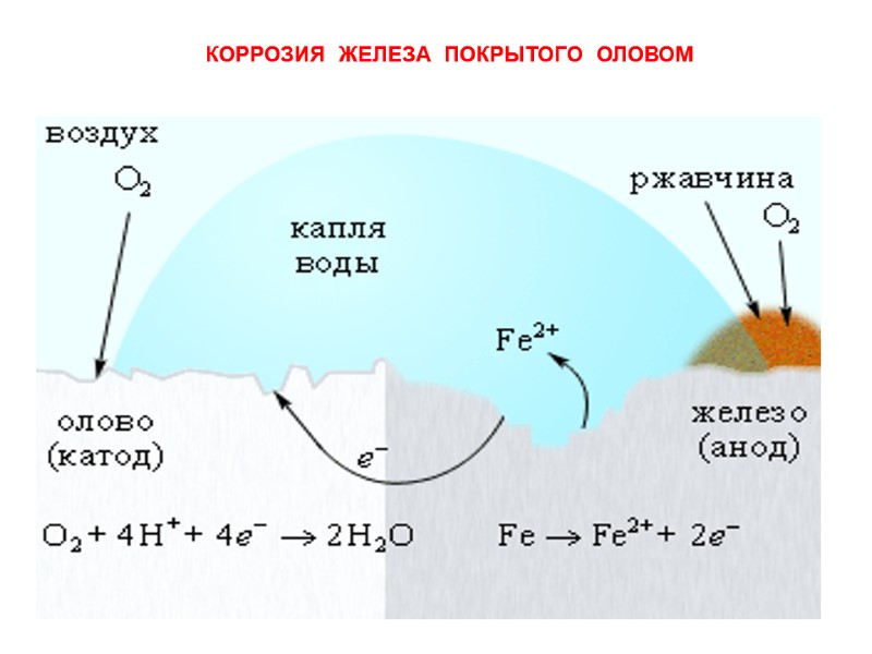 КОРРОЗИЯ  ЖЕЛЕЗА  ПОКРЫТОГО  ОЛОВОМ
